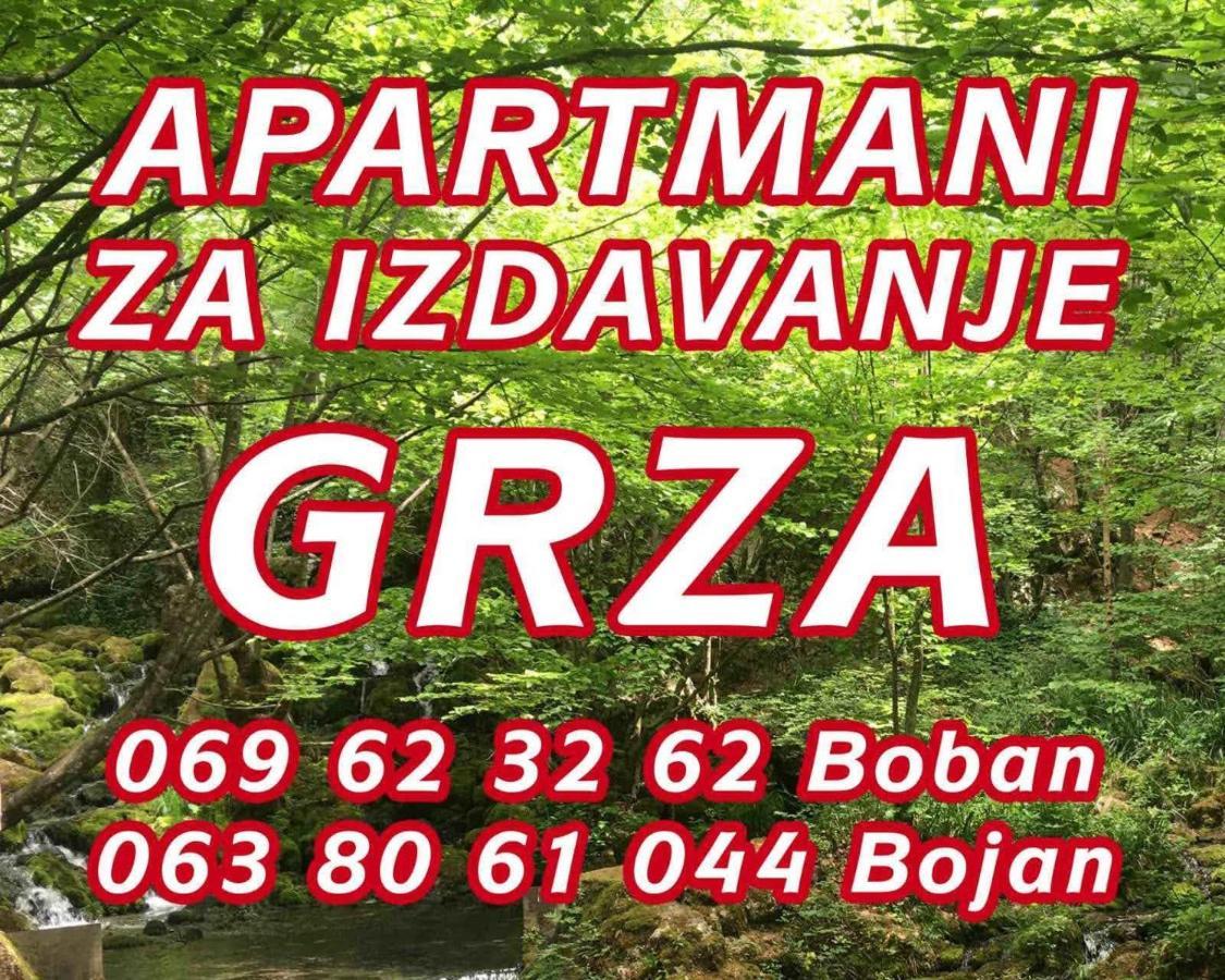 Apartmani Grza Paraćin Extérieur photo