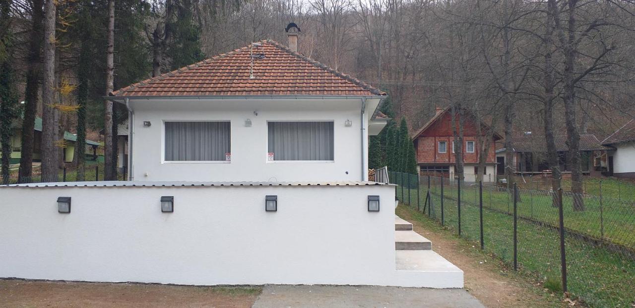 Apartmani Grza Paraćin Extérieur photo