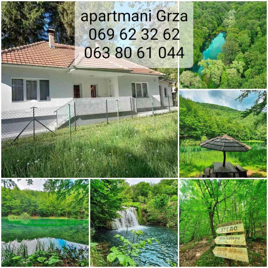 Apartmani Grza Paraćin Extérieur photo