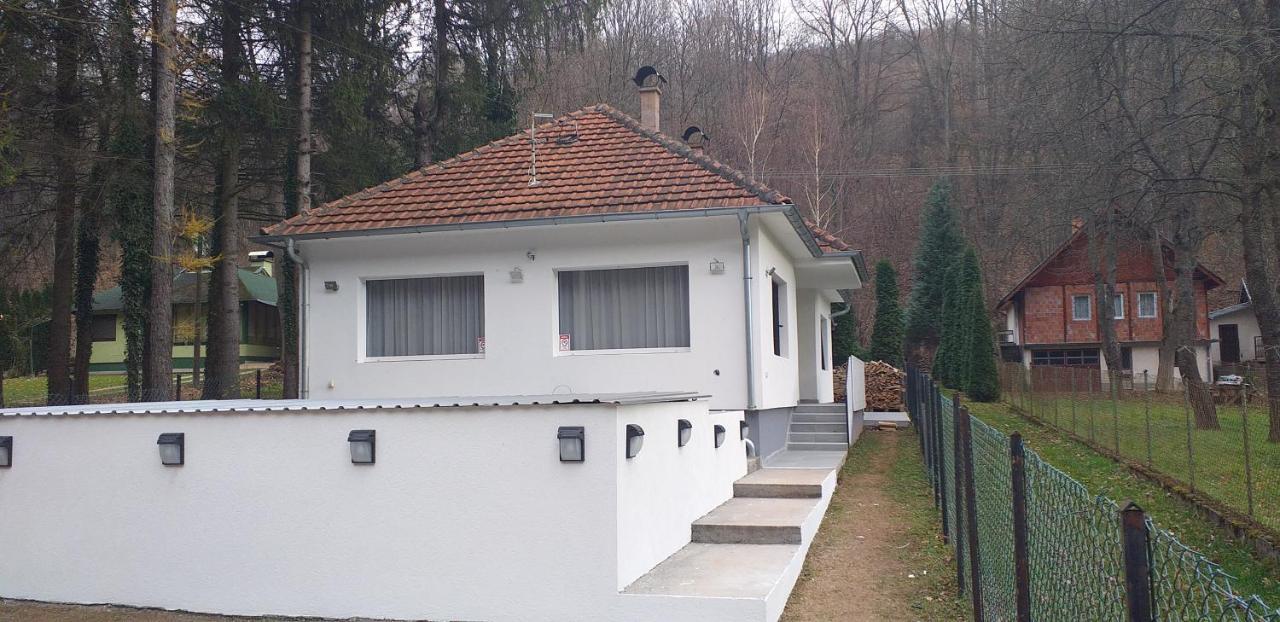 Apartmani Grza Paraćin Extérieur photo