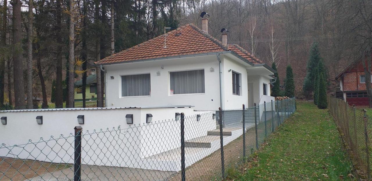 Apartmani Grza Paraćin Extérieur photo